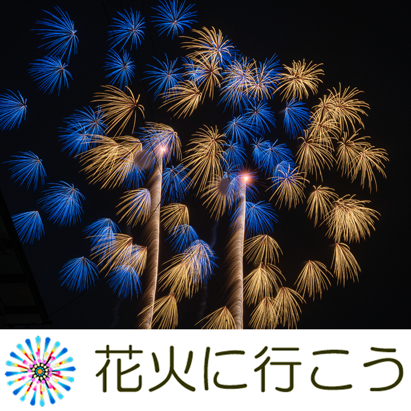 第17回たてやまドンドン祭り