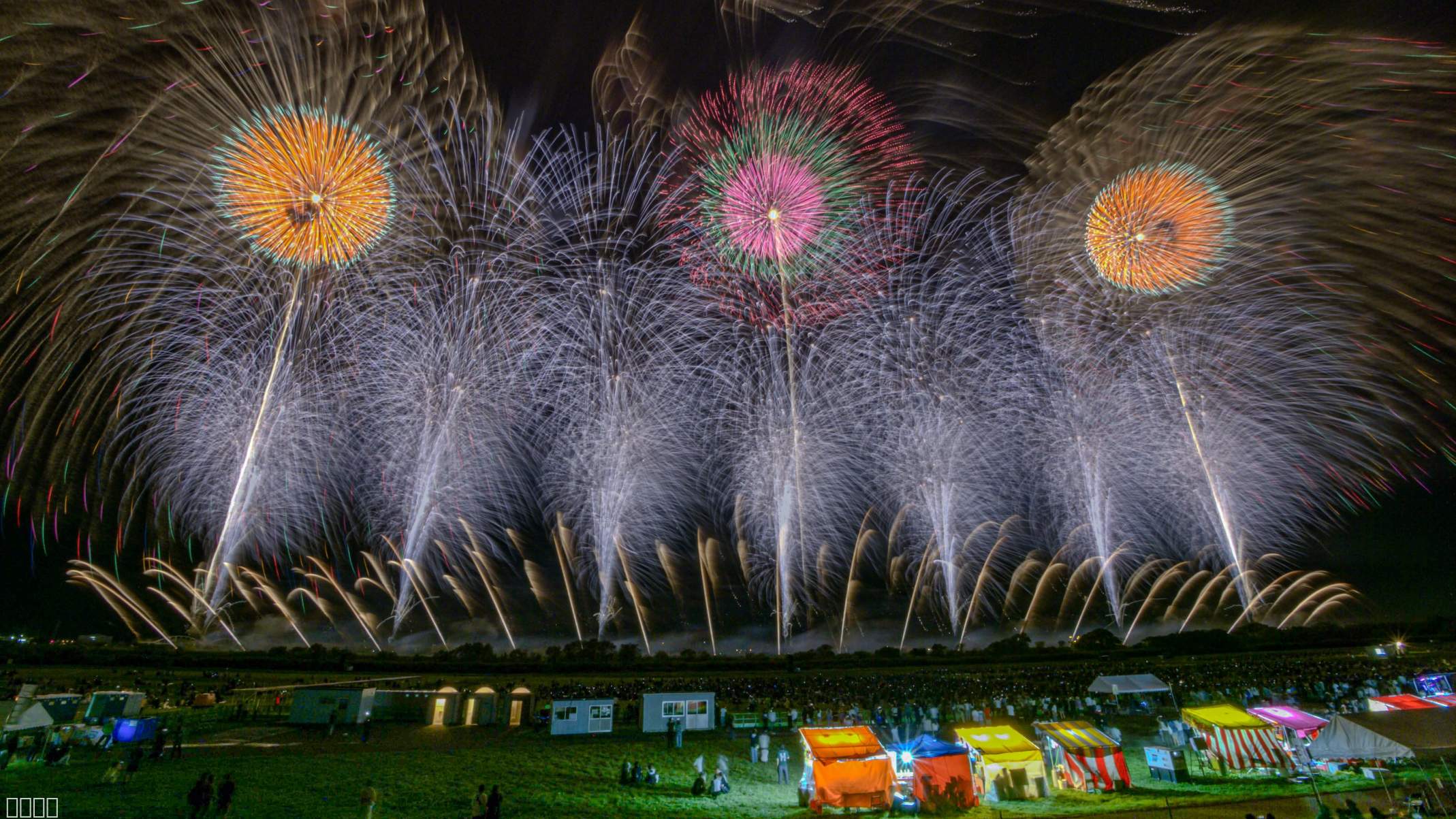 酒田の花火の花火写真